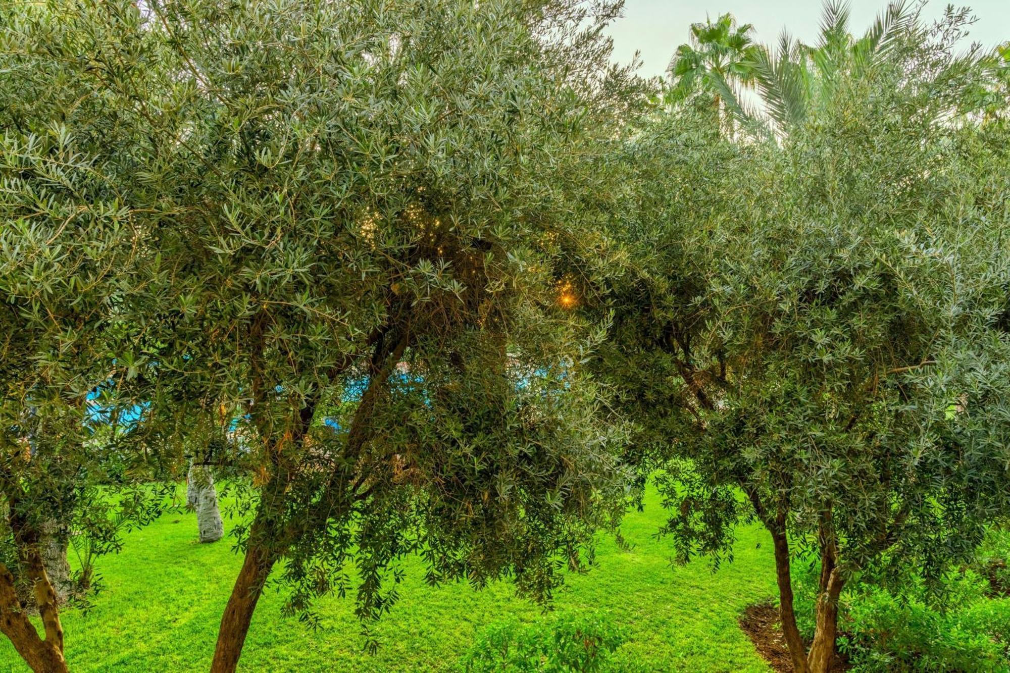فندق لو ميريديان نفيس 5*